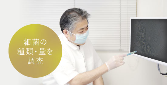 細菌の種類・量を調査